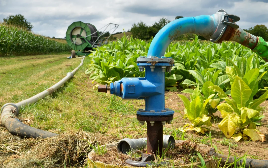 Agricultural Project